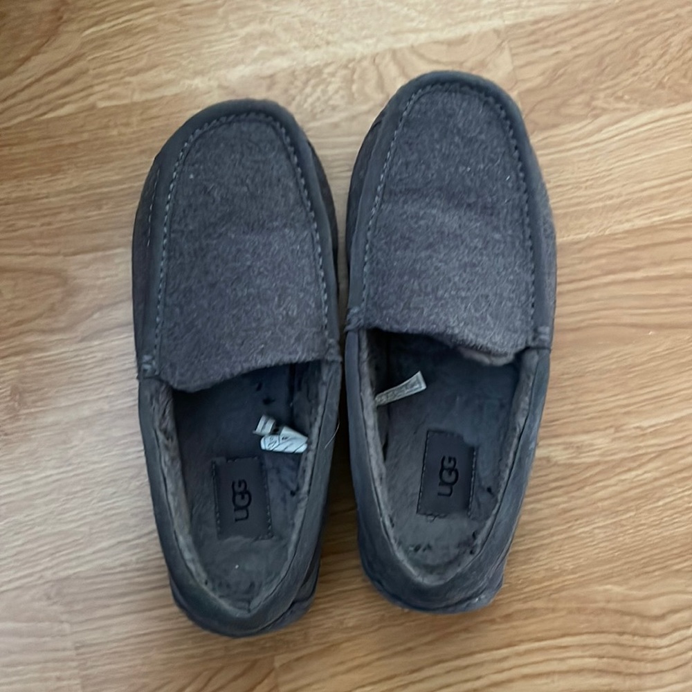 Mens ugg slippers